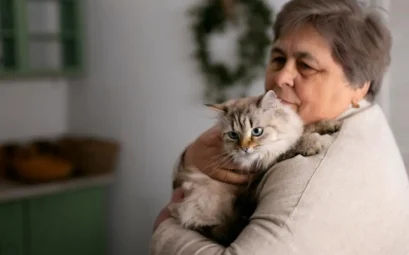 Bringing Home A New Pet