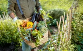 Vegetables Every Home Gardener Grow