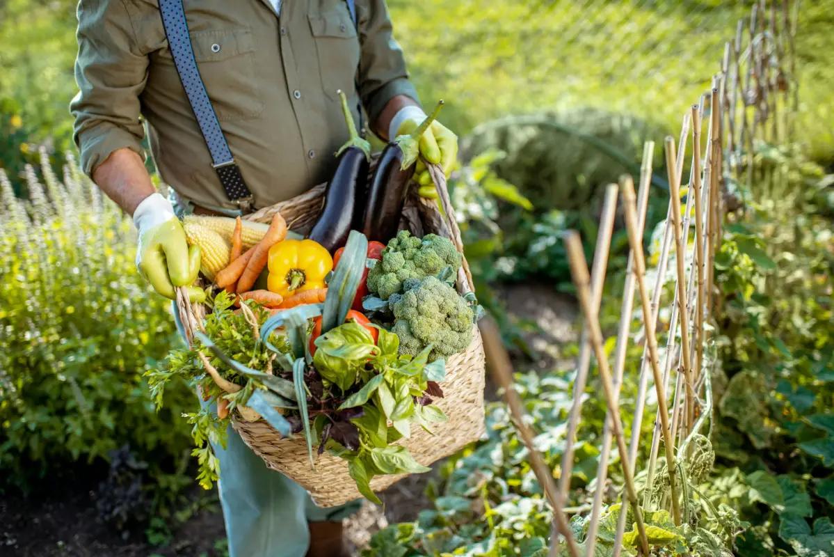 Vegetables Every Home Gardener Grow